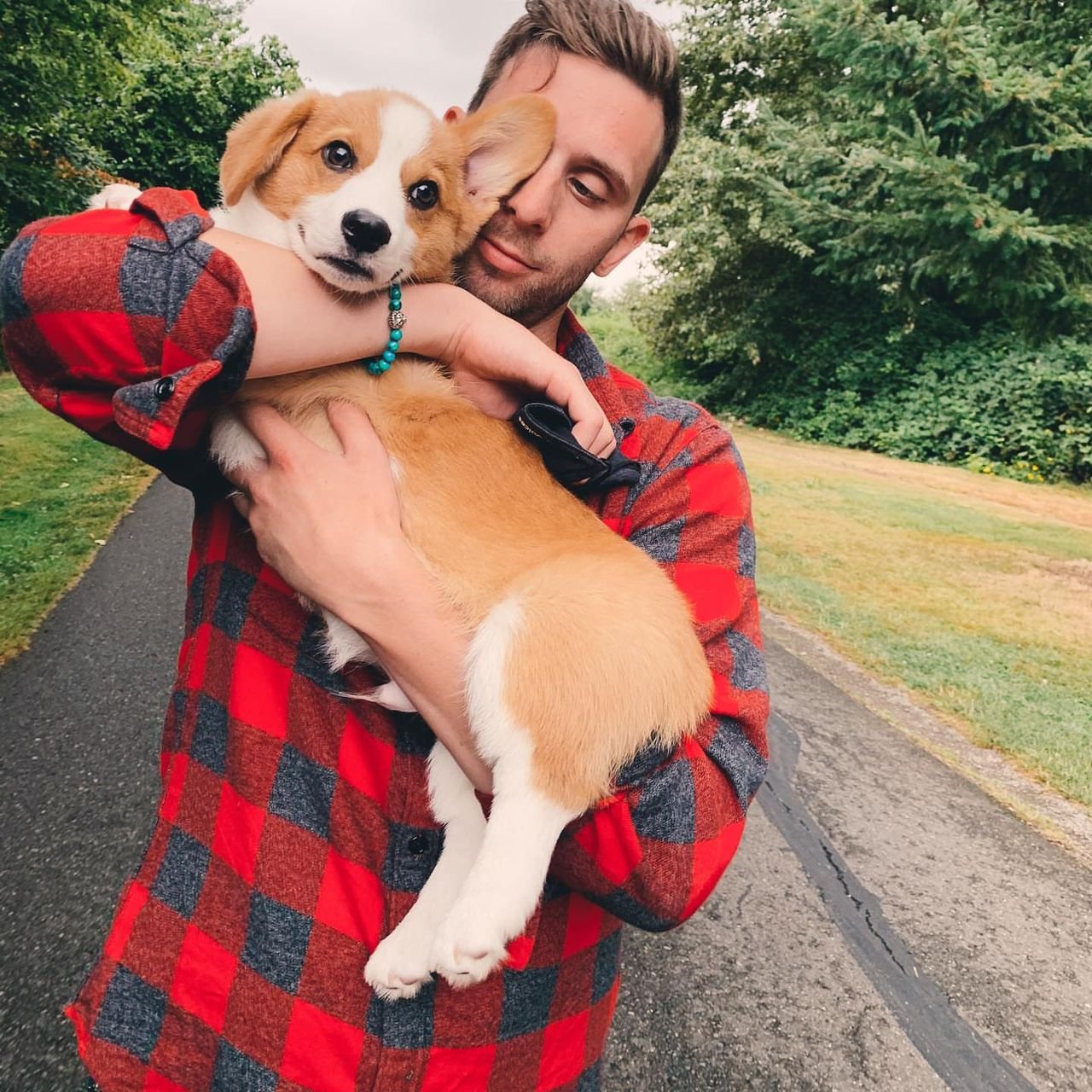 Corgi puppy held by owner on a wooded path