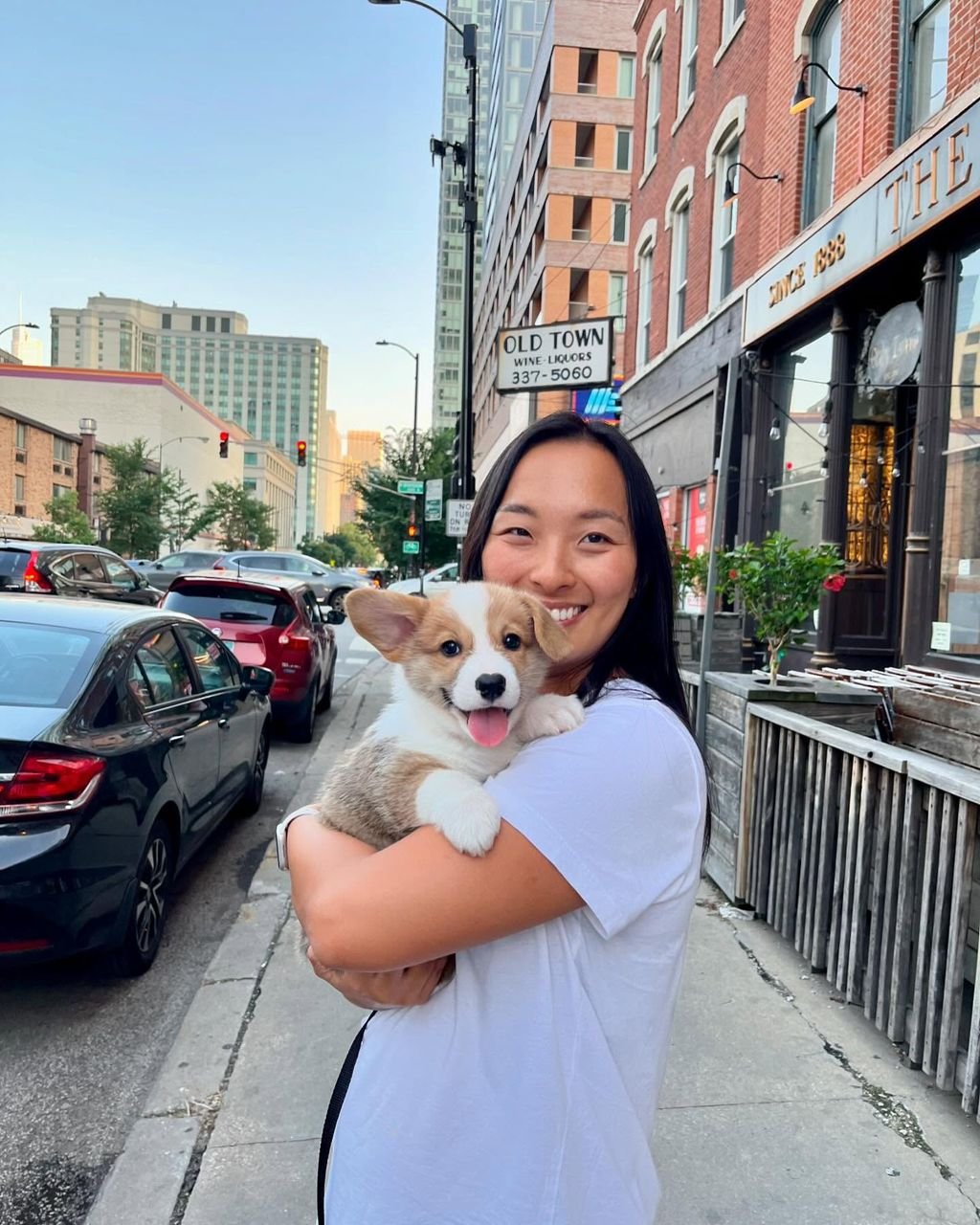 Close-up of fluffy Corgi puppy with person